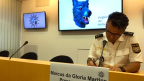 Mutmaßlicher Vergewaltiger mit Wolfsmaske gesteht Tat