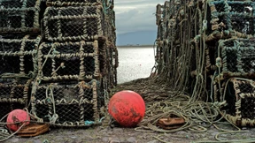 Herauskatapultiert aus dem eigenen Kopf