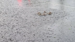 Supermarkt und Bankfiliale „hüfthoch“ voll Wasser