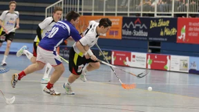 Der schlafende Riese