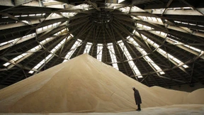 Das Oligopol im Kalimarkt