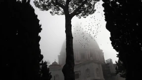 Kaltstellung nach Kritik