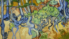 Ich kann mir nicht jeden Tag ein Ohr abschneiden