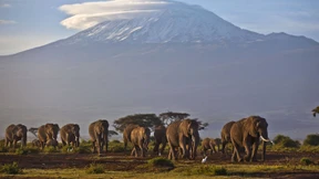 Führt bald eine Seilbahn zum Kilimandscharo?