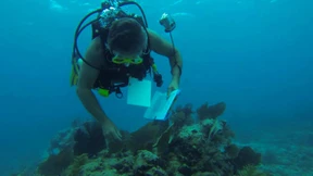 Amerikanische Dozenten auf gutem Weg zum Weltrekord