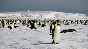 Kuscheln vor den Kameras