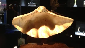 Der Welt hübschester Setzkasten steht in Belgien