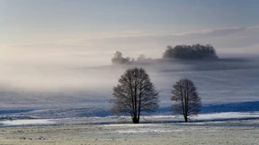 Das Vogtland – ein seismischer Hotspot