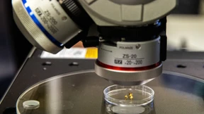 Wie Hessen Geld für die Fusionsforschung bekommen kann