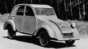 Für vier Personen und 50 Kilo Kartoffeln