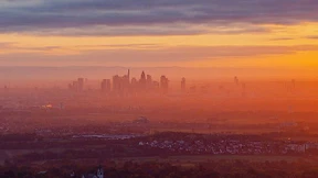 Noch einmal zusammen in den Wald