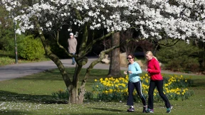 Der Frühling kommt und bleibt