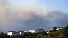Waldbrände lodern auf Korsika