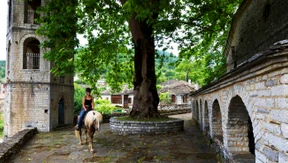 Wer hat Angst vorm  hungrigen Wolf?