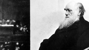  Aufschrei über Streichung von Evolutionstheorie 