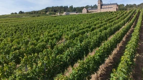 Führt den Wassercent wieder ein!