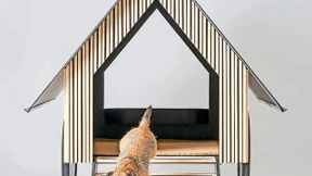 Für tierische Nomaden