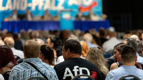 Die linken und die rechten Wölfe sind sich gleich