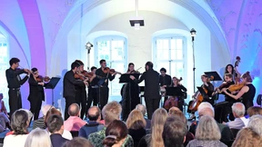 Streicher, Bläser, Schlagwerk, Schwalben