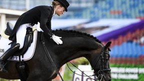 Immer wieder goldene Reiter