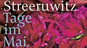 Das große und das kleine Aber