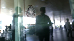 Terror als Vergeltung