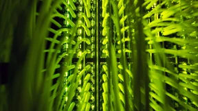 Industrie gibt acht Milliarden fürs schnelle Netz