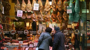 Glückliche Schweine im Korkeichenwald