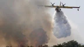 Hitzewelle in Kroatien sorgt für Waldbrände