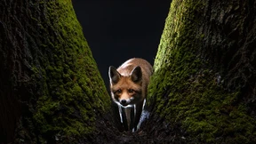 Das sind die besten Aufnahmen des vergangenen Jahres