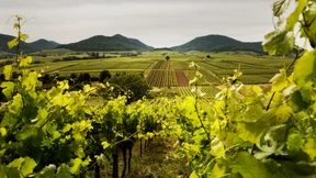 Willkommen in besten Lagen