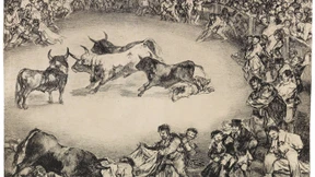 Die Strahlen des Apollon