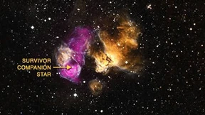 Einsamer Überlebender