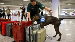 Kokain in der Brust, Ecstasy in der Unterhose