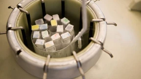 Für immer gebärfähig