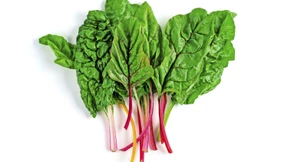 So kommen Farbe und Geschmack auf den Teller