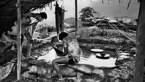 „Wir sind nicht mehr Teil unserer Natur“