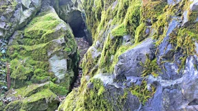 Wandern mit dem Specht