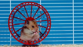 „Man muss das Hamsterrad anhalten“