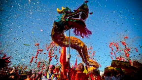 Die Drachen vermehren sich stark