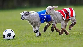 „Wales macht beim Brexit nicht mit!“