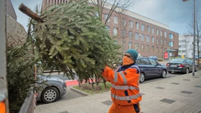 Christbäume werden Biogas