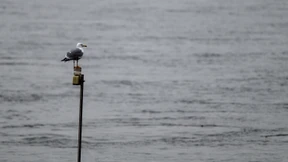 Sorgt kalte Polarluft für weiße Weihnachten?