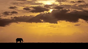 Der Tod ist das Leben