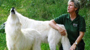 Zeit der leisen Töne beginnt