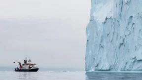 Interdisziplinarität braucht eine Basis