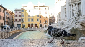 Plötzlich fehlt Katzenfutter