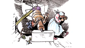 Frauenmacht plus Elektrifizierung