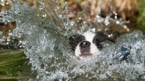 So überstehen Sie die Hitzewelle