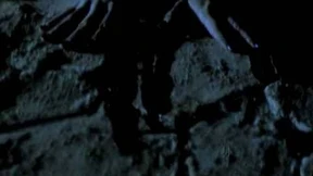 „Frozen“ von Madonna